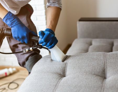 Upholstery Cleaning
